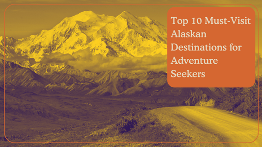 A View of Denali National Park