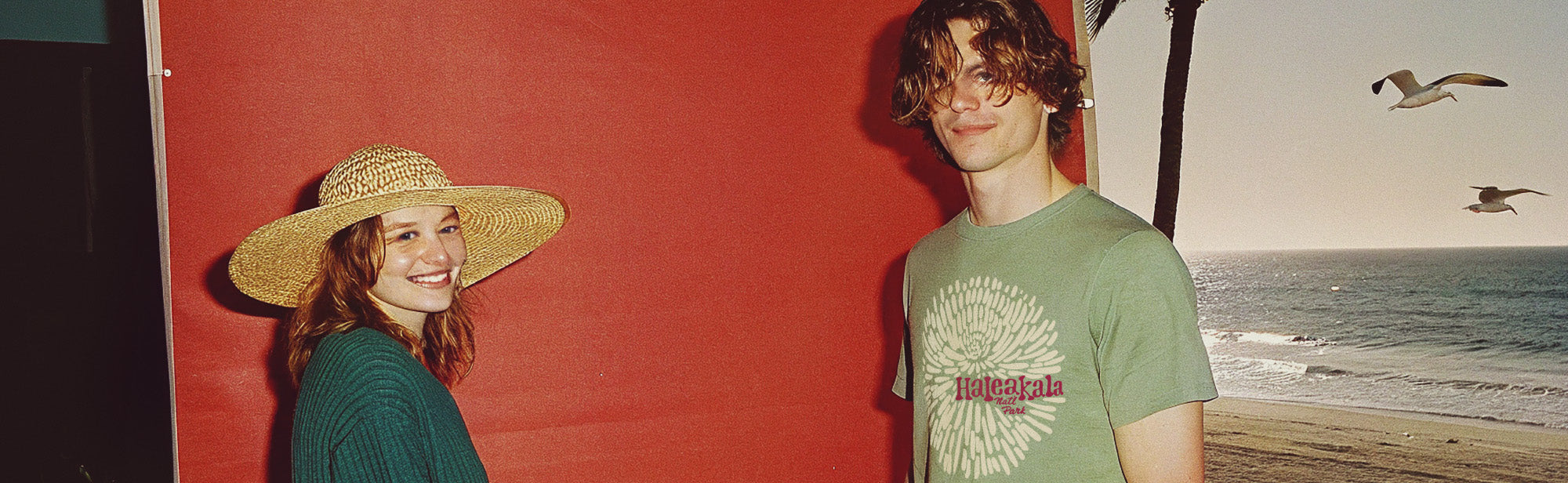 Hawaii Collection Banner