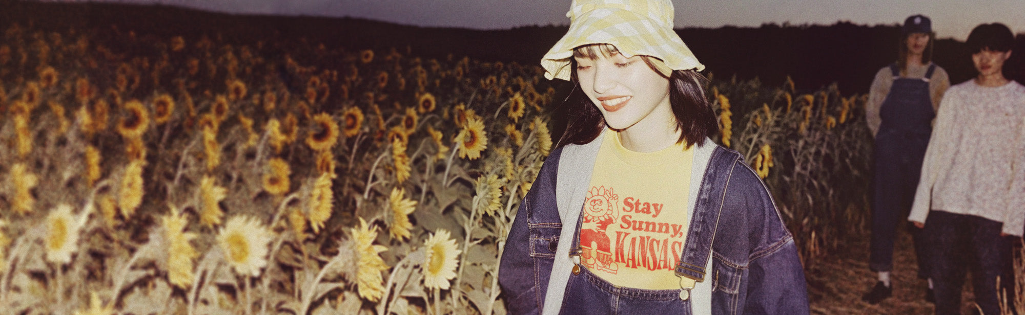 Kansas Colletion Image