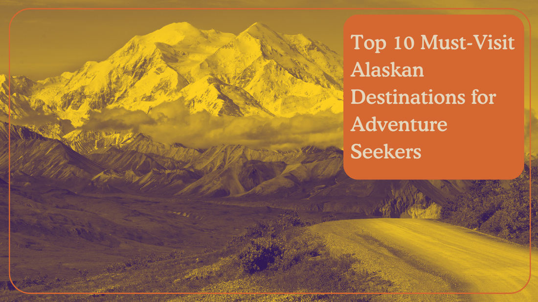 A View of Denali National Park 