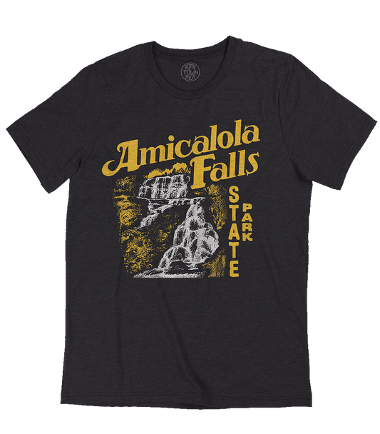 The Best Amicalola Falls Shirt Ever
