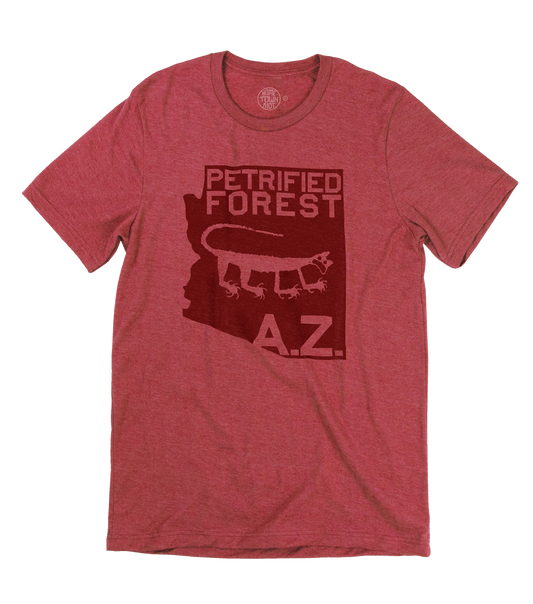 Petrified Forest National Park Shirt - HomeTownRiot